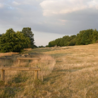 Parc de Montaud