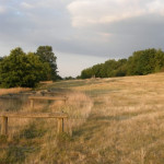 Parc de Montaud