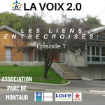 La Voix 2.0 : Les Liens Entrecroisés